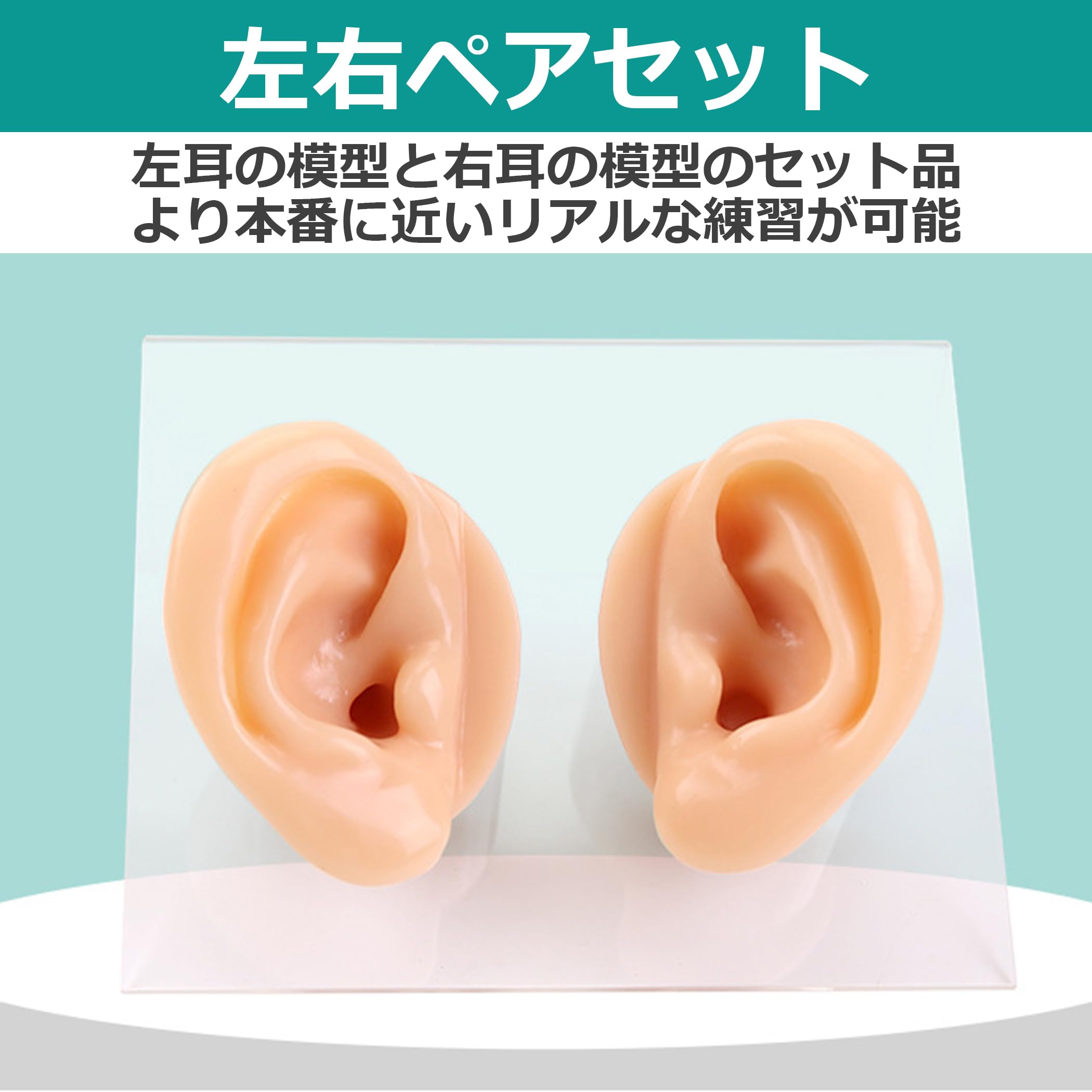 Amazon.co.jp: Felimoa シリコン製耳模型 両耳 耳鍼 縫合 練習 ダミー